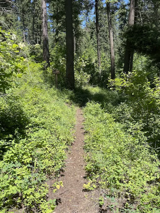 Bell Bay Campground Picture 8