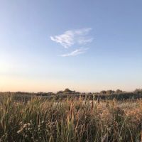 Martha Lake Camp w/pass ico
