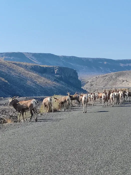 Rocky Coulee Recreation Area Picture 3