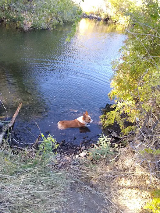 Rocky Coulee Recreation Area Picture 10