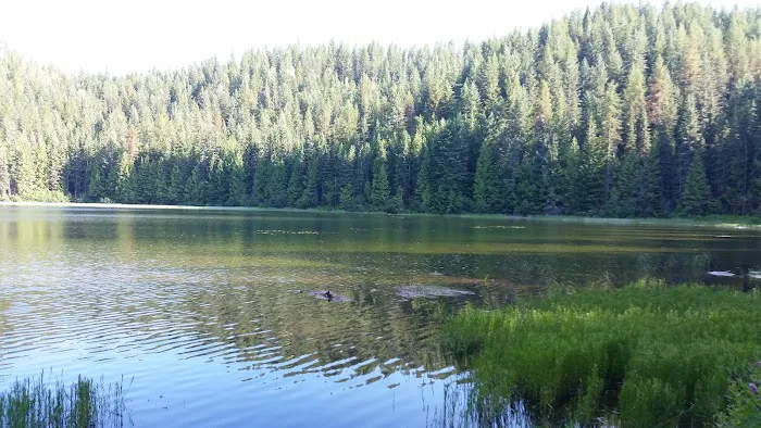 Petit Lake Campground Picture 1