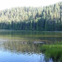 Petit Lake Campground ico