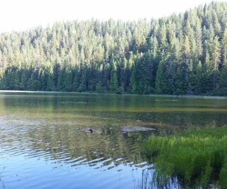 Petit Lake Campground