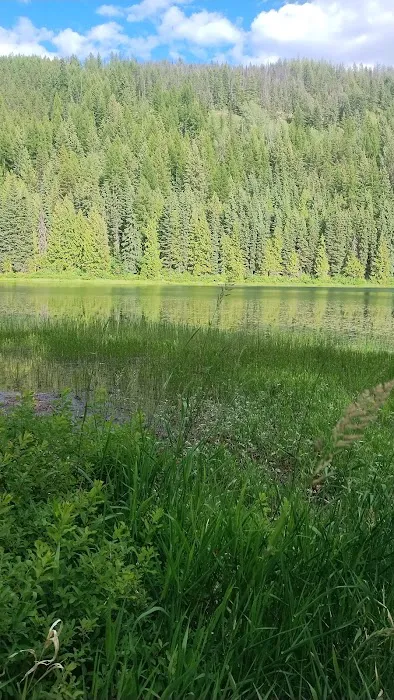 Petit Lake Campground Picture 3