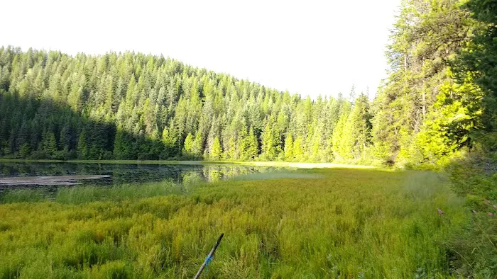 Petit Lake Campground Picture 4