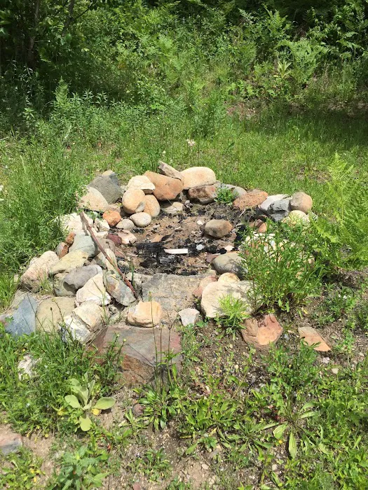 Everett Slough Campground Picture 6