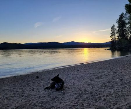 West Shores Campground (7 Lots)
