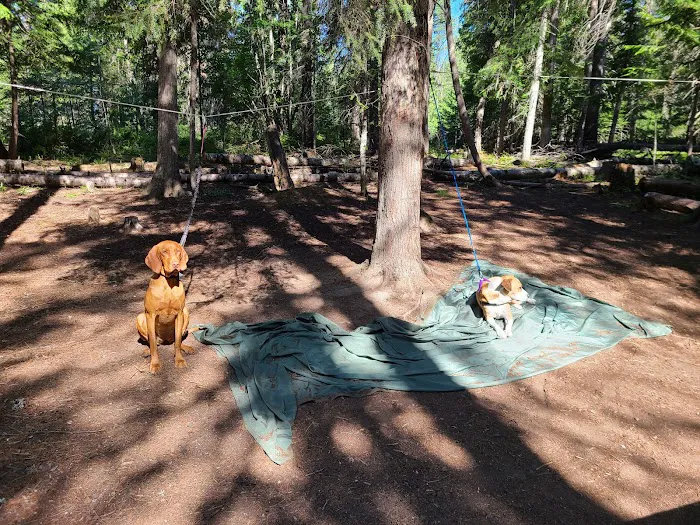 Outlet Campground at Priest Lake Picture 9