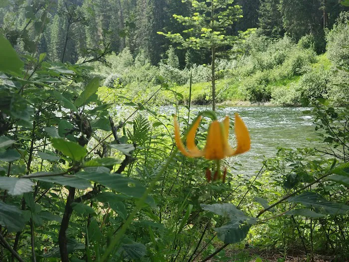 Dickensheet Campground Picture 9