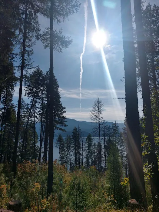 Osprey Campground Picture 6