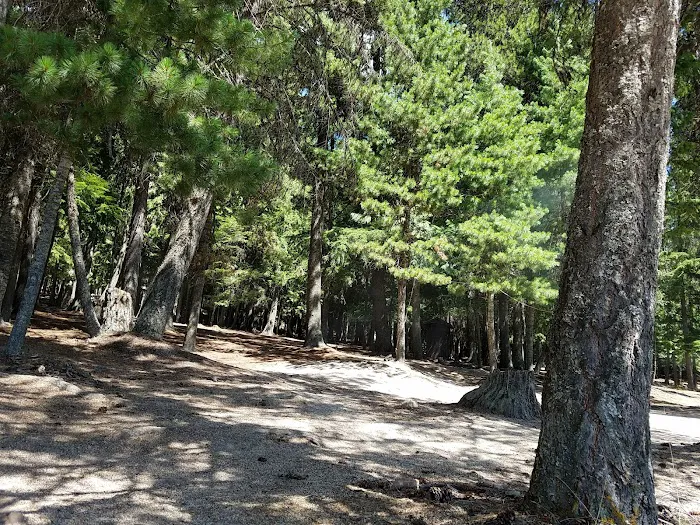 Silver Campground Picture 10