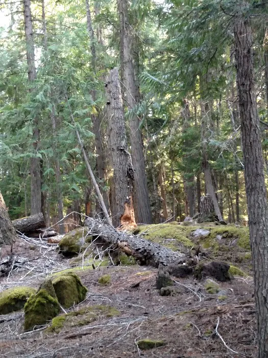 North Cove Campground Picture 4