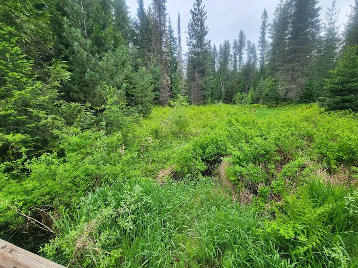 Plowboy Campground Picture 3