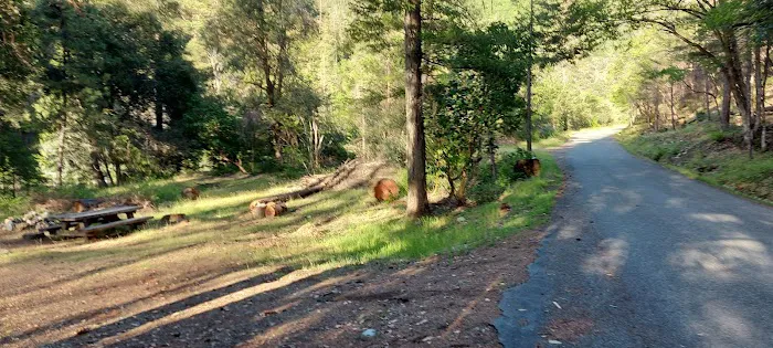 Hotelling Campground Picture 5