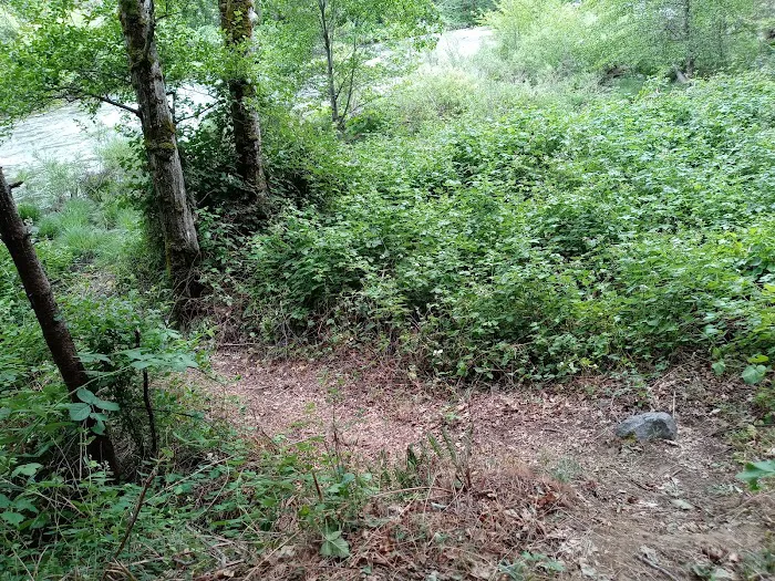 Red Bank Campground Picture 3