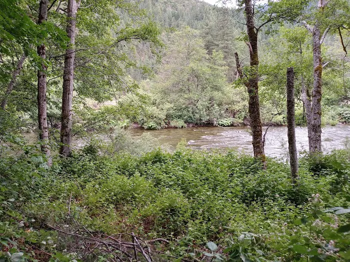 Red Bank Campground Picture 8