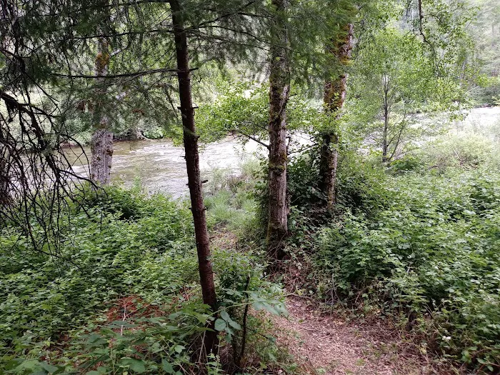 Red Bank Campground Picture 7
