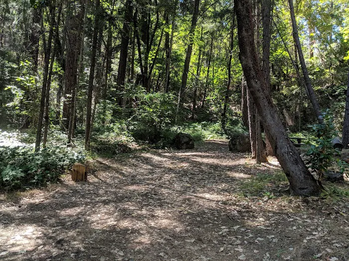 Red Bank Campground Picture 6