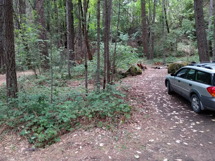 Red Bank Campground Picture 5