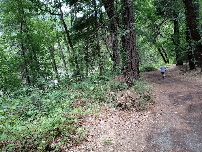 Red Bank Campground Picture 2