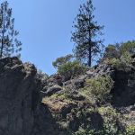 Nordheimer