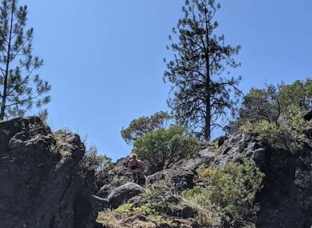 Nordheimer