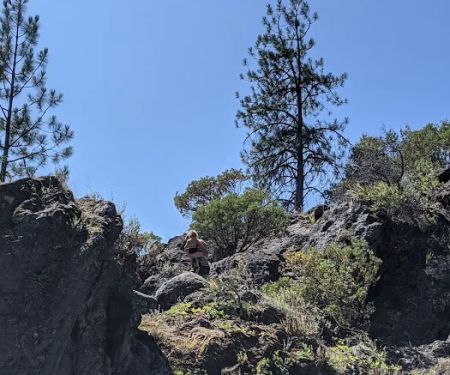 Nordheimer