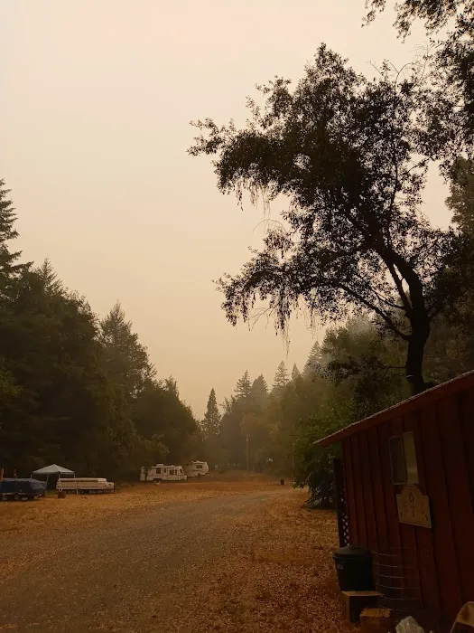 Bluff Creek Campground Picture 2