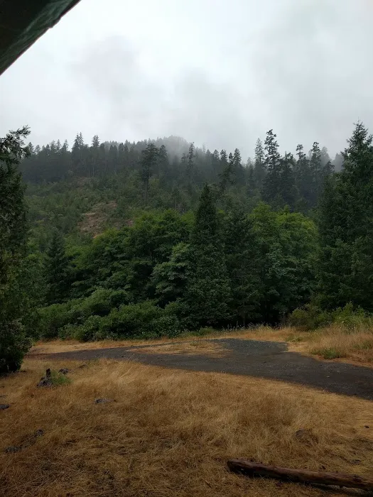 Aikens Creek West Campground Picture 5