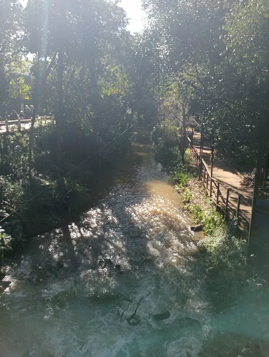 Aikens Creek West Campground Picture 2