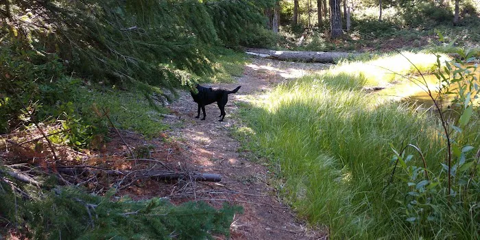 FISH LAKE CAMPGROUND Picture 6