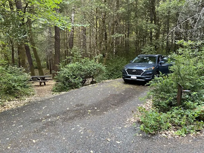 FISH LAKE CAMPGROUND Picture 9