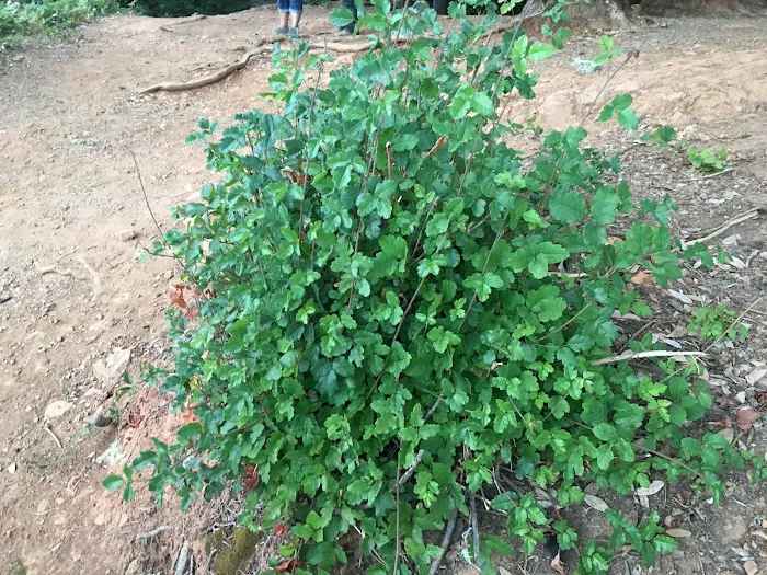 FISH LAKE CAMPGROUND Picture 7