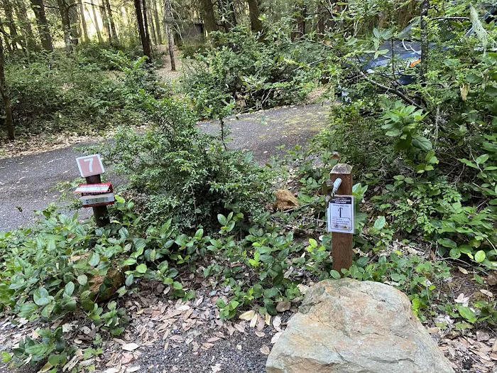 FISH LAKE CAMPGROUND Picture 5