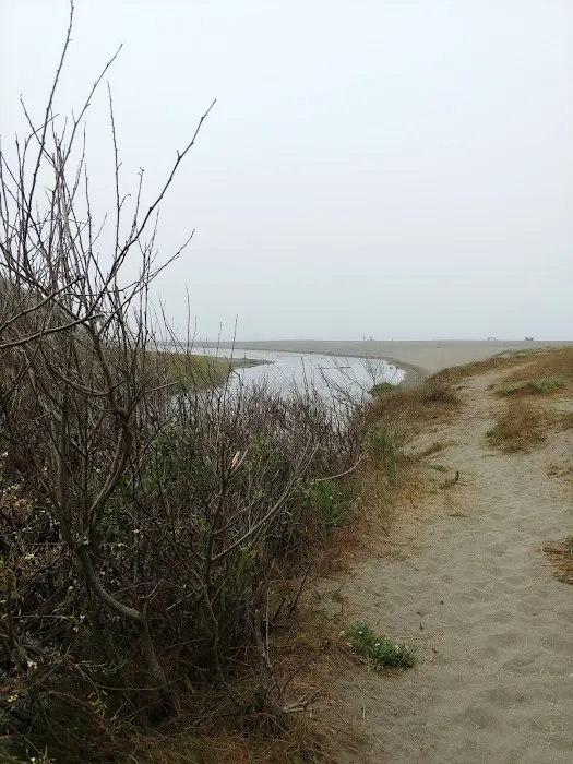Westport Beach RV Park and Campground Picture 4