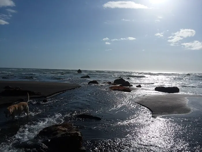 Westport Beach RV Park and Campground Picture 3