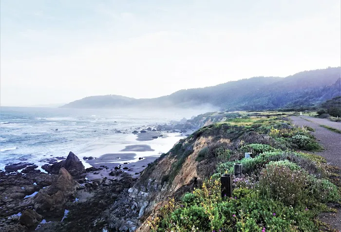 Abalone Point Campground Picture 1