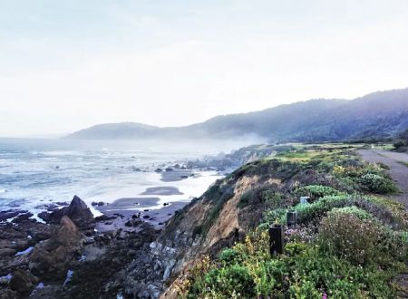 Abalone Point Campground