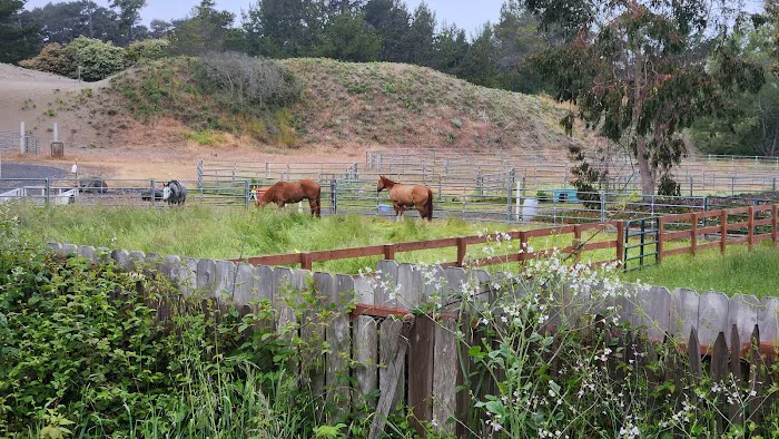 Cleone Grocery Campground Picture 10