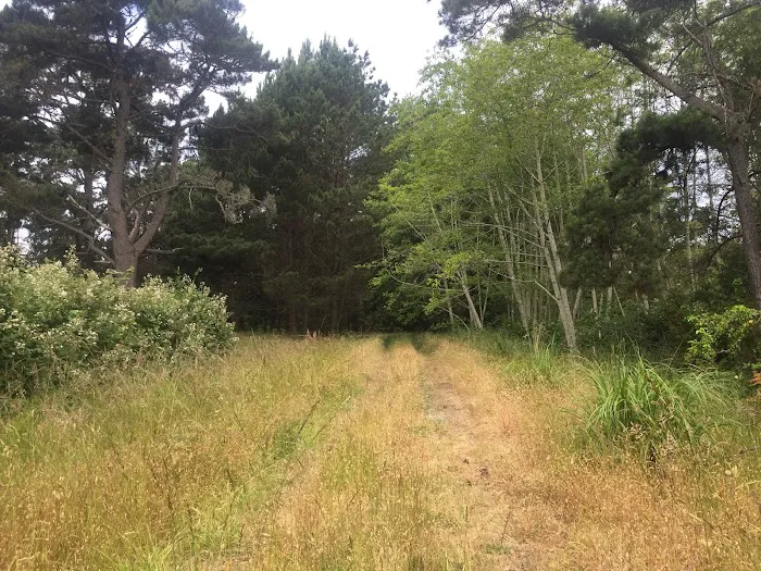Cleone Grocery Campground Picture 8