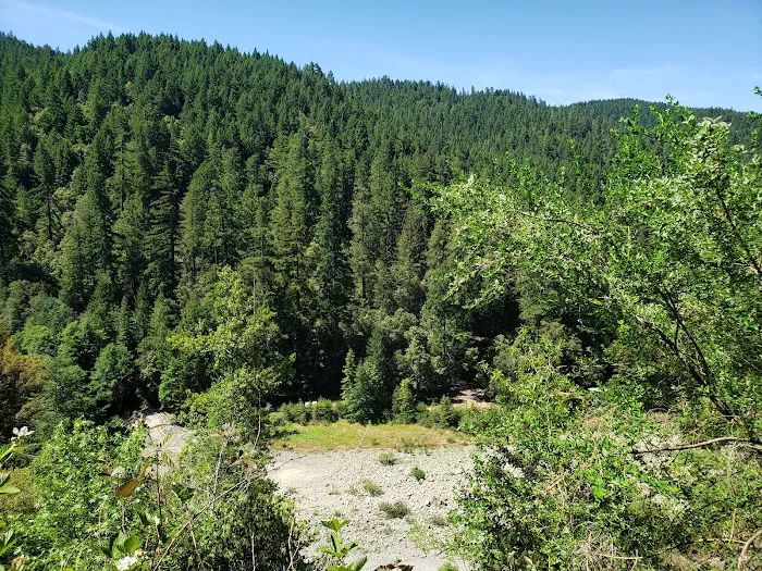 Rock Creek Campground Picture 6