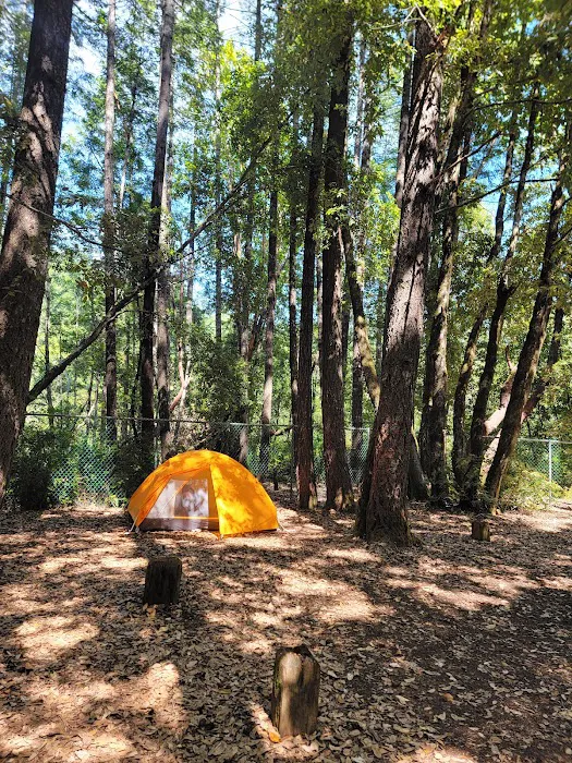 Rock Creek Campground Picture 10