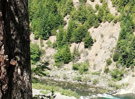 Rock Creek Campground