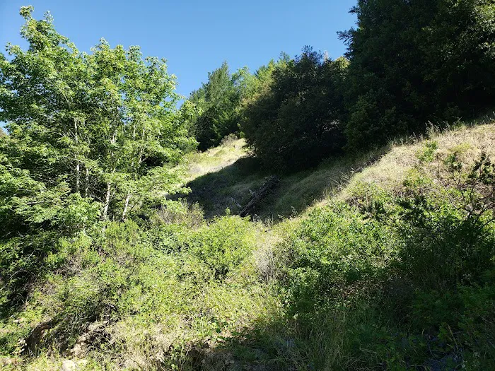 Rock Creek Campground Picture 2