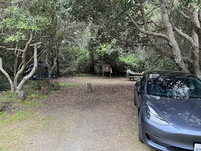 Westpine Campground | MacKerricher Picture 1
