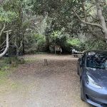 Westpine Campground | MacKerricher