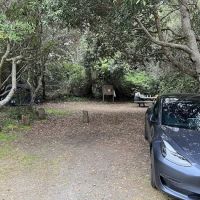 Westpine Campground | MacKerricher ico