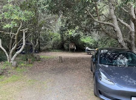 Westpine Campground | MacKerricher