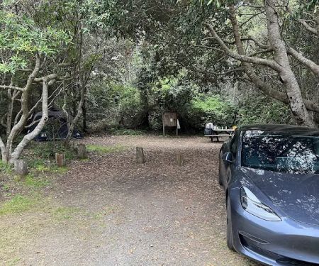 Westpine Campground | MacKerricher