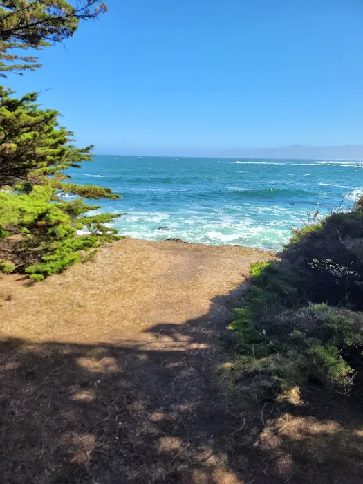 Westpine Campground | MacKerricher Picture 9